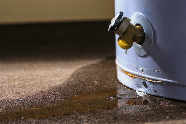 Best Flood damage cleanup  in Mvern, AL