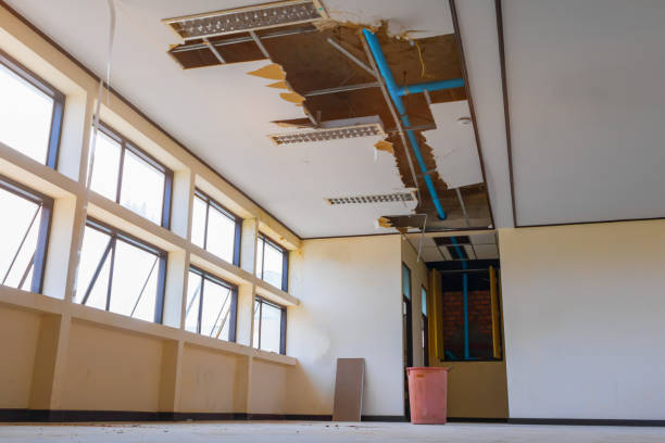 Best Basement water damage restoration  in Mvern, AL