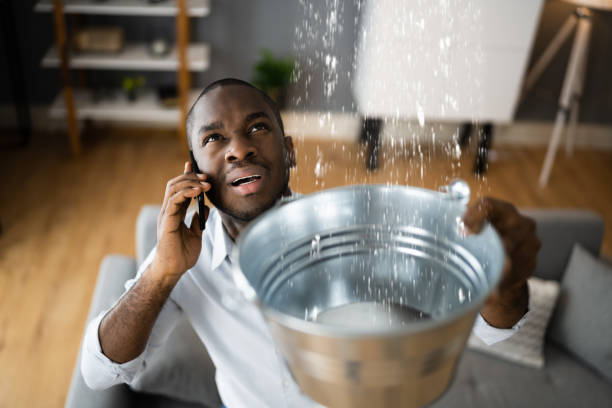 Best Water damage cleanup near me  in Mvern, AL