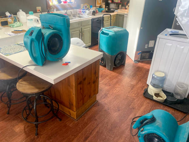 Best Water damage restoration near me  in Mvern, AL