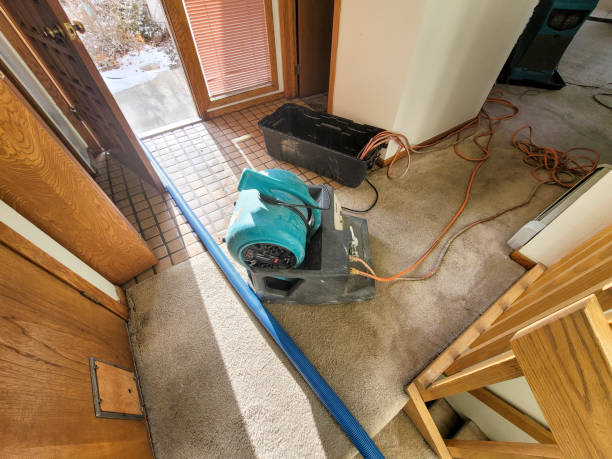 Best 24/7 water damage repair  in Mvern, AL