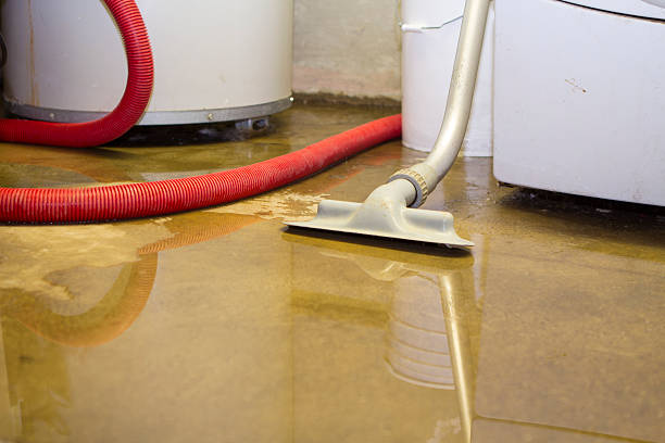 Best Flood restoration services  in Mvern, AL