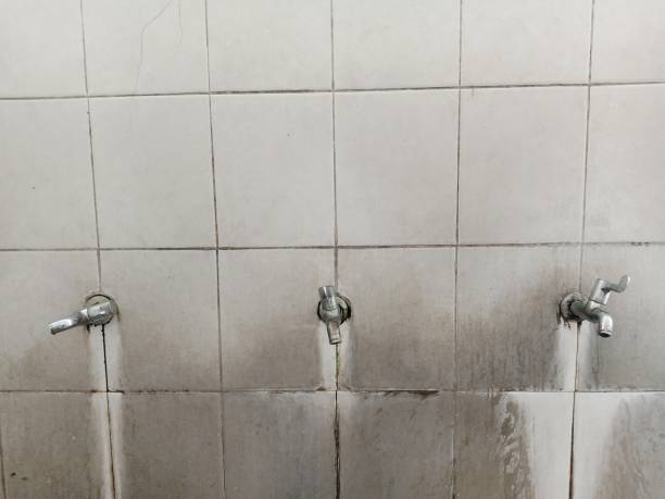 Best Professional water damage repair  in Mvern, AL